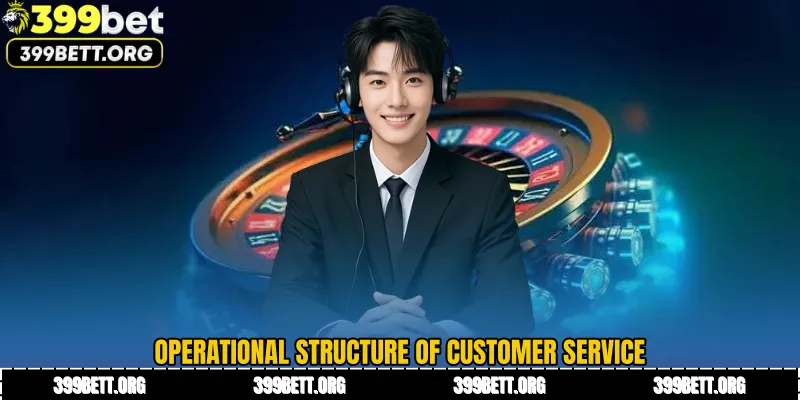 Operational Structure of Customer Service 