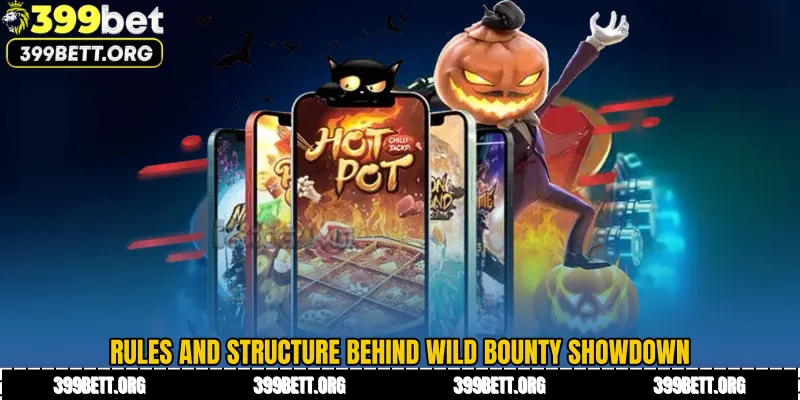 Rules and Structure Behind Wild Bounty Showdown